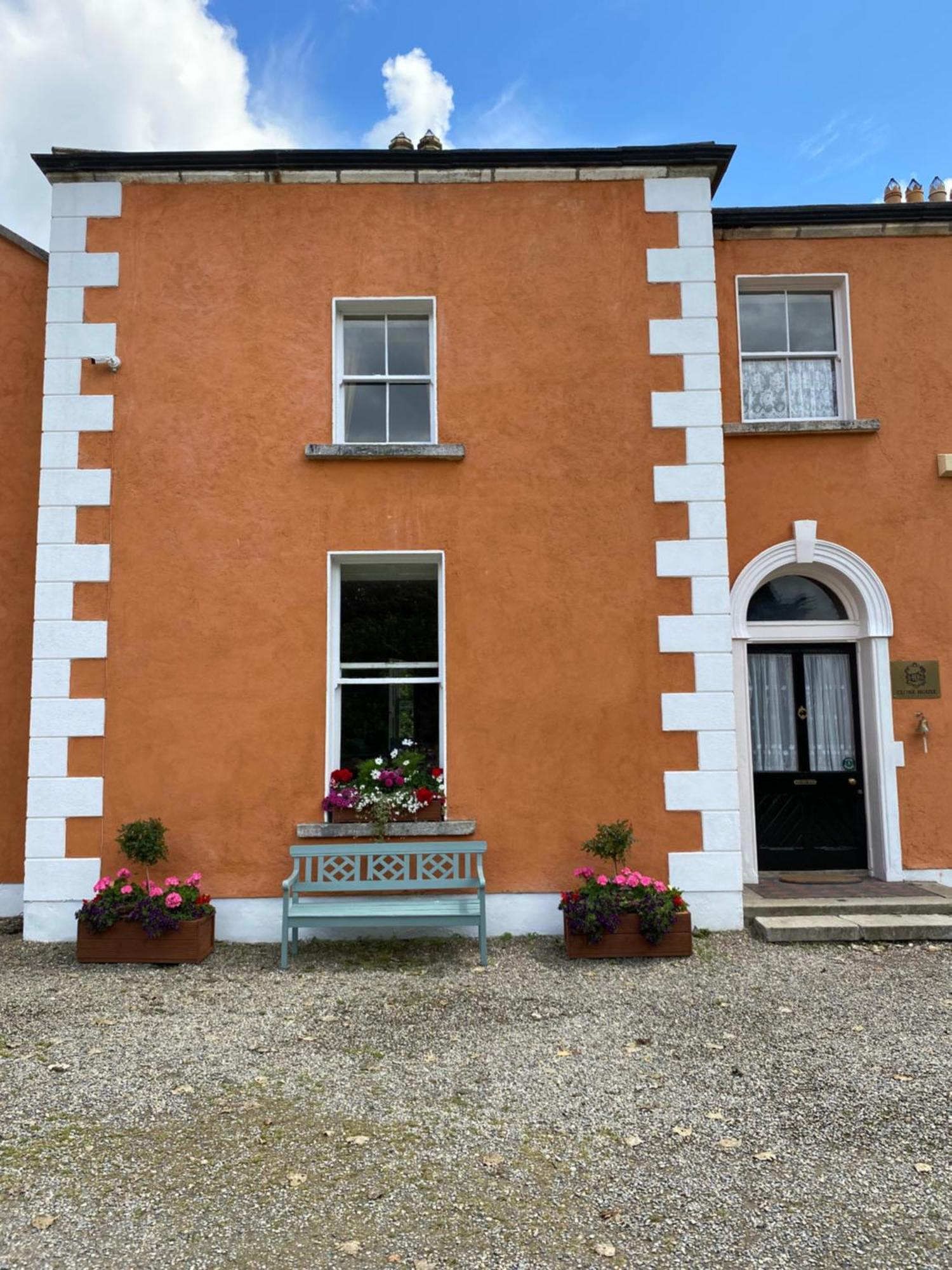 Clone Country House Aughrim Kültér fotó The front door of the former schoolhouse
